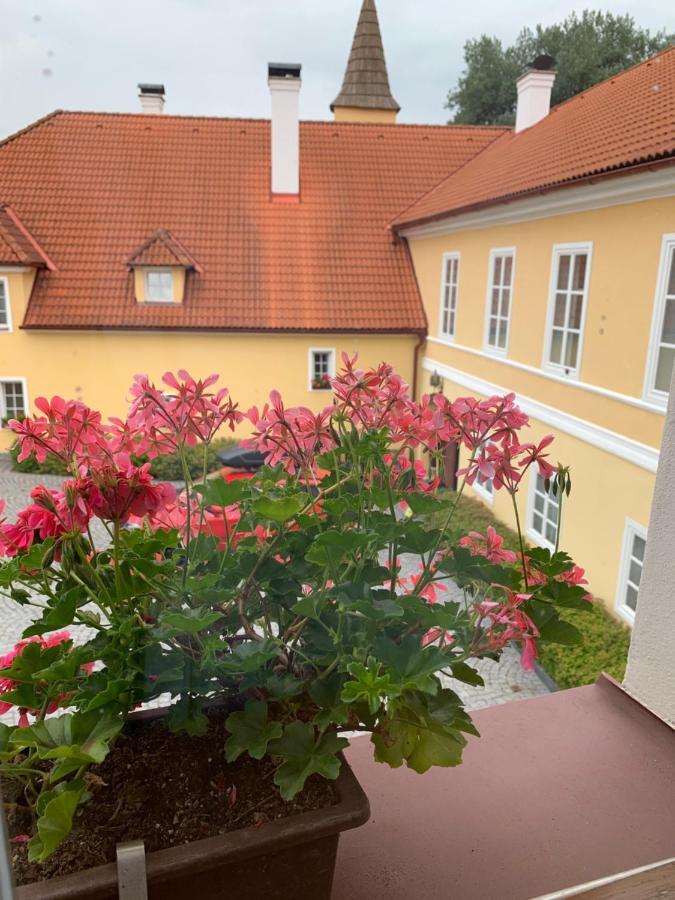 Hotel Zamek Jindrichovice Kolinec Exterior foto